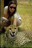 Cheetah_0267